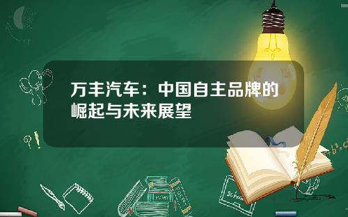 万丰汽车：中国自主品牌的崛起与未来展望