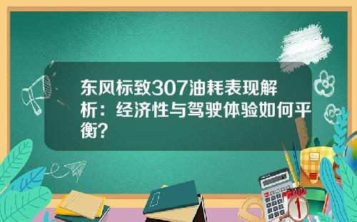 东风标致307油耗表现解析：经济性与驾驶体验如何平衡？