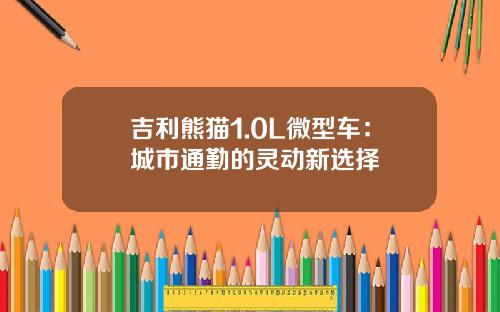 吉利熊猫1.0L微型车：城市通勤的灵动新选择
