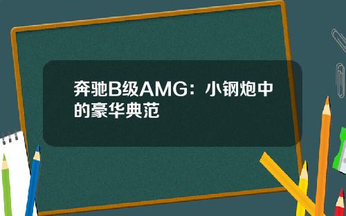奔驰B级AMG：小钢炮中的豪华典范
