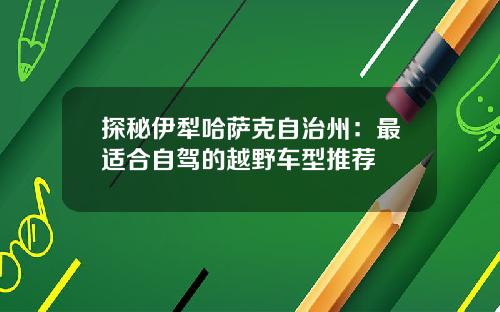 探秘伊犁哈萨克自治州：最适合自驾的越野车型推荐