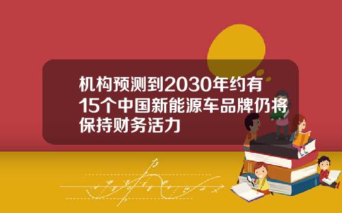 机构预测到2030年约有15个中国新能源车品牌仍将保持财务活力