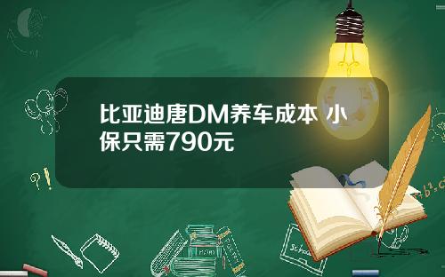 比亚迪唐DM养车成本 小保只需790元