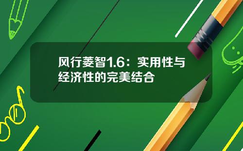 风行菱智1.6：实用性与经济性的完美结合