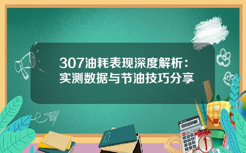 307油耗表现深度解析：实测数据与节油技巧分享